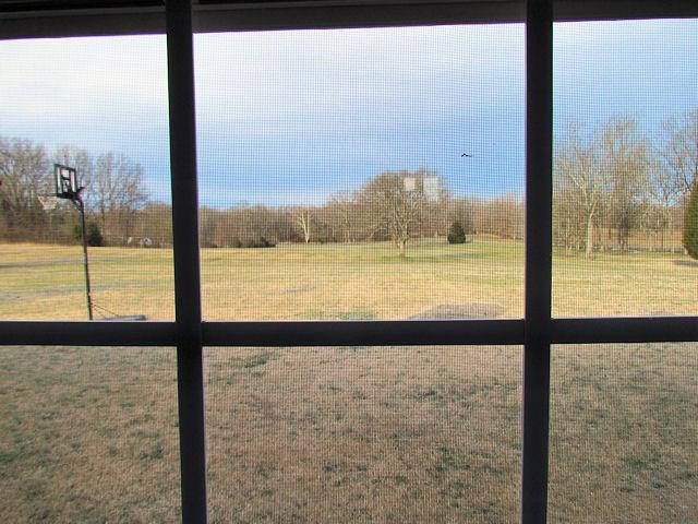 8132 Cairo Bend Road Lebanon, TN 37087 - Photo 8 of 20 This is the view of the property from the kitchen sink window.