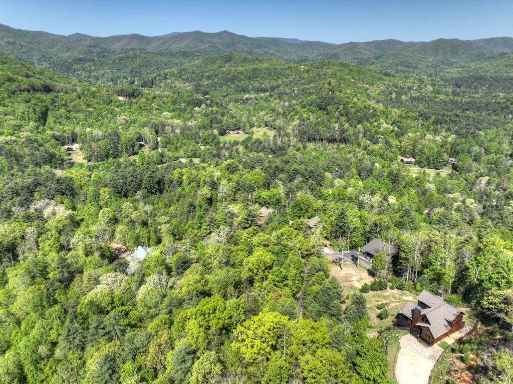 459 Quail Ridge Road Epworth, GA 30541 - Photo 14 of 73 a view of a lush green forest with trees in the background