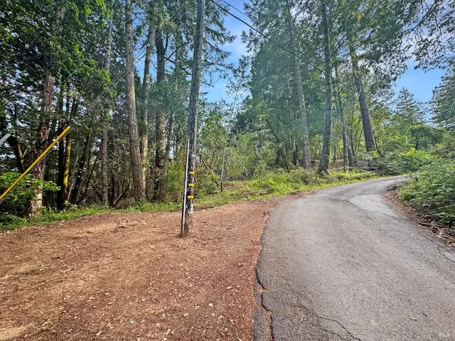 a backyard of a house with trees