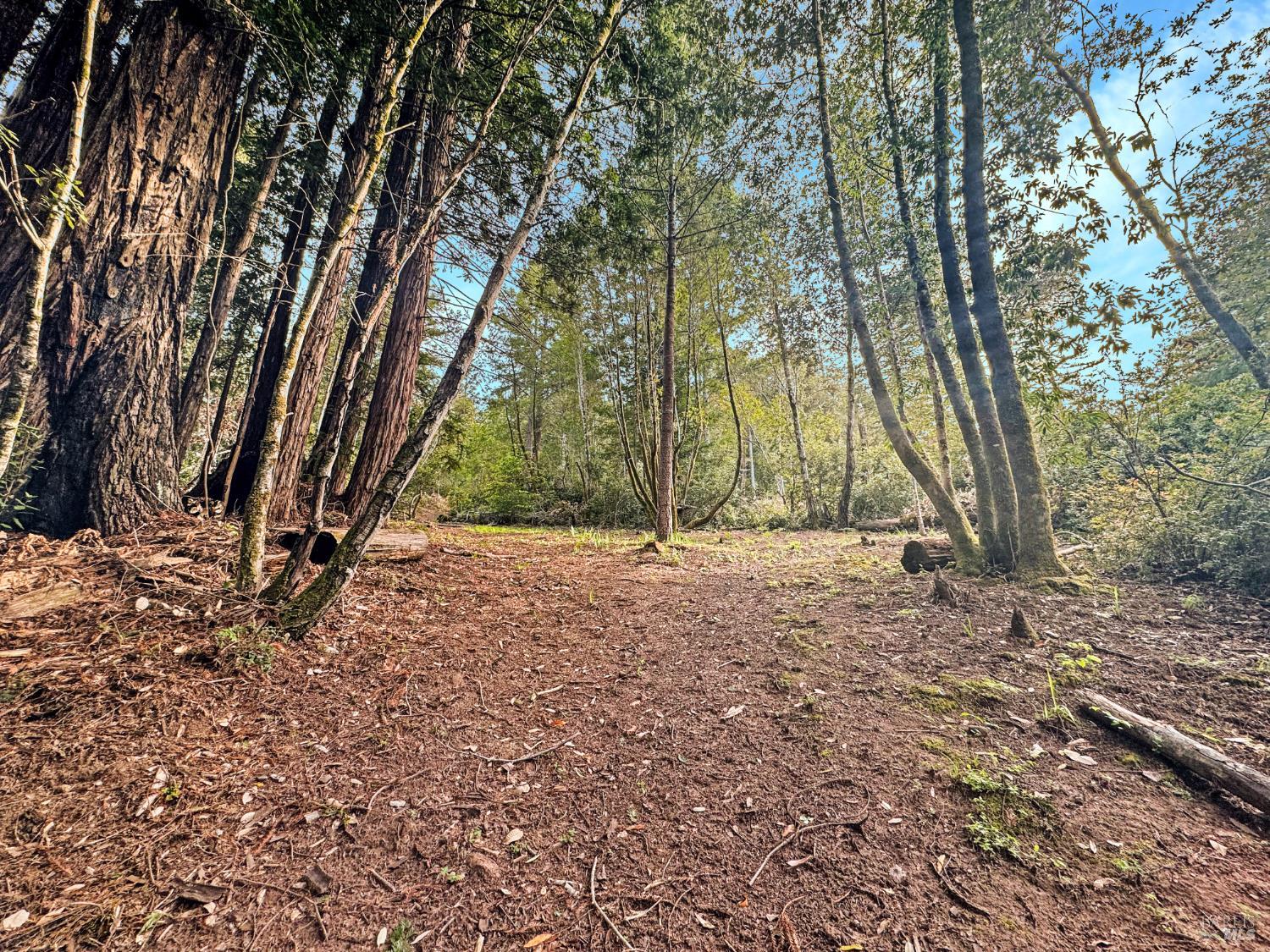 21155 Siri Road Guerneville, CA 95446 - Photo 11 of 30 a view of backyard space