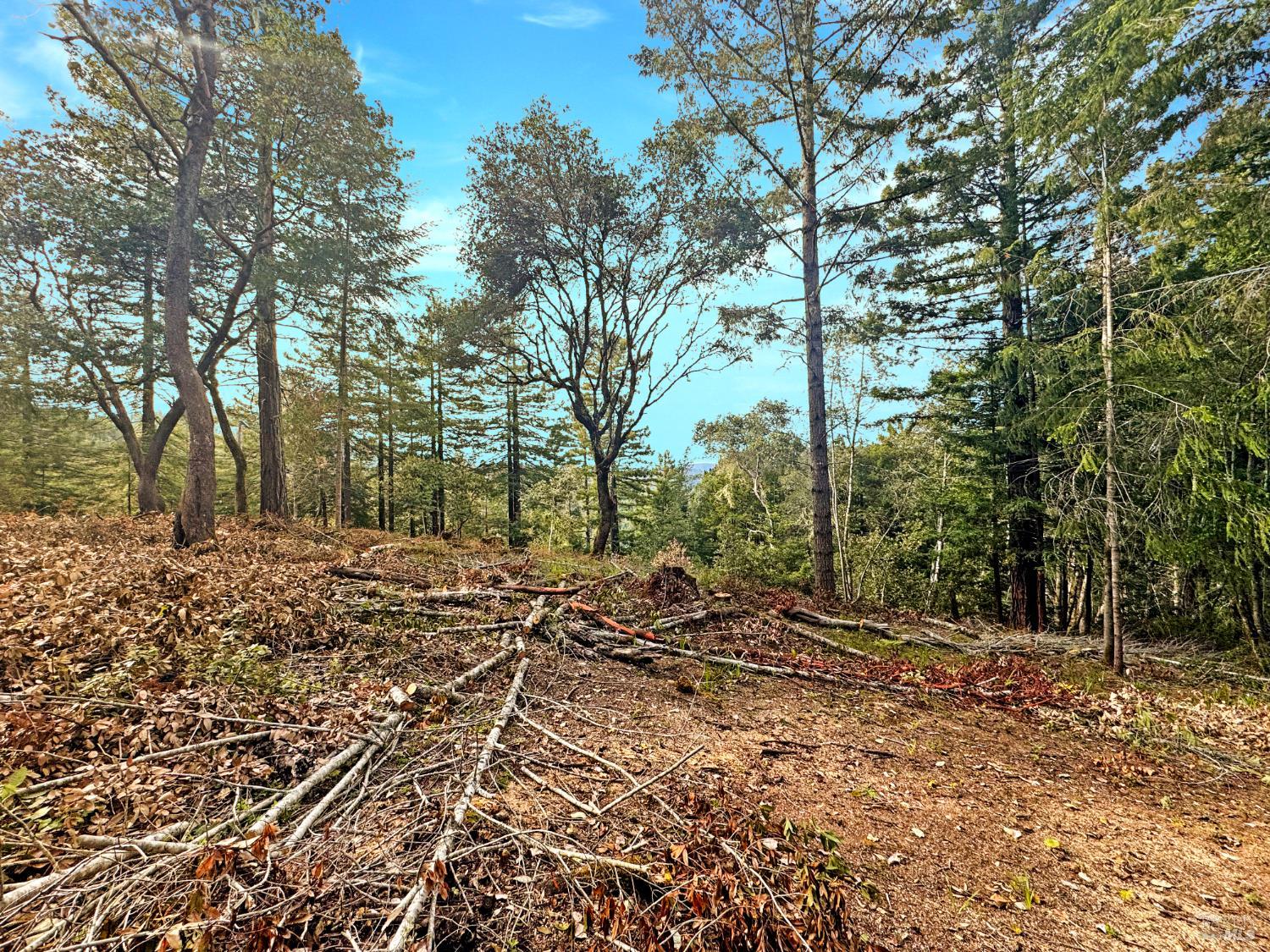 21155 Siri Road Guerneville, CA 95446 - Photo 15 of 30