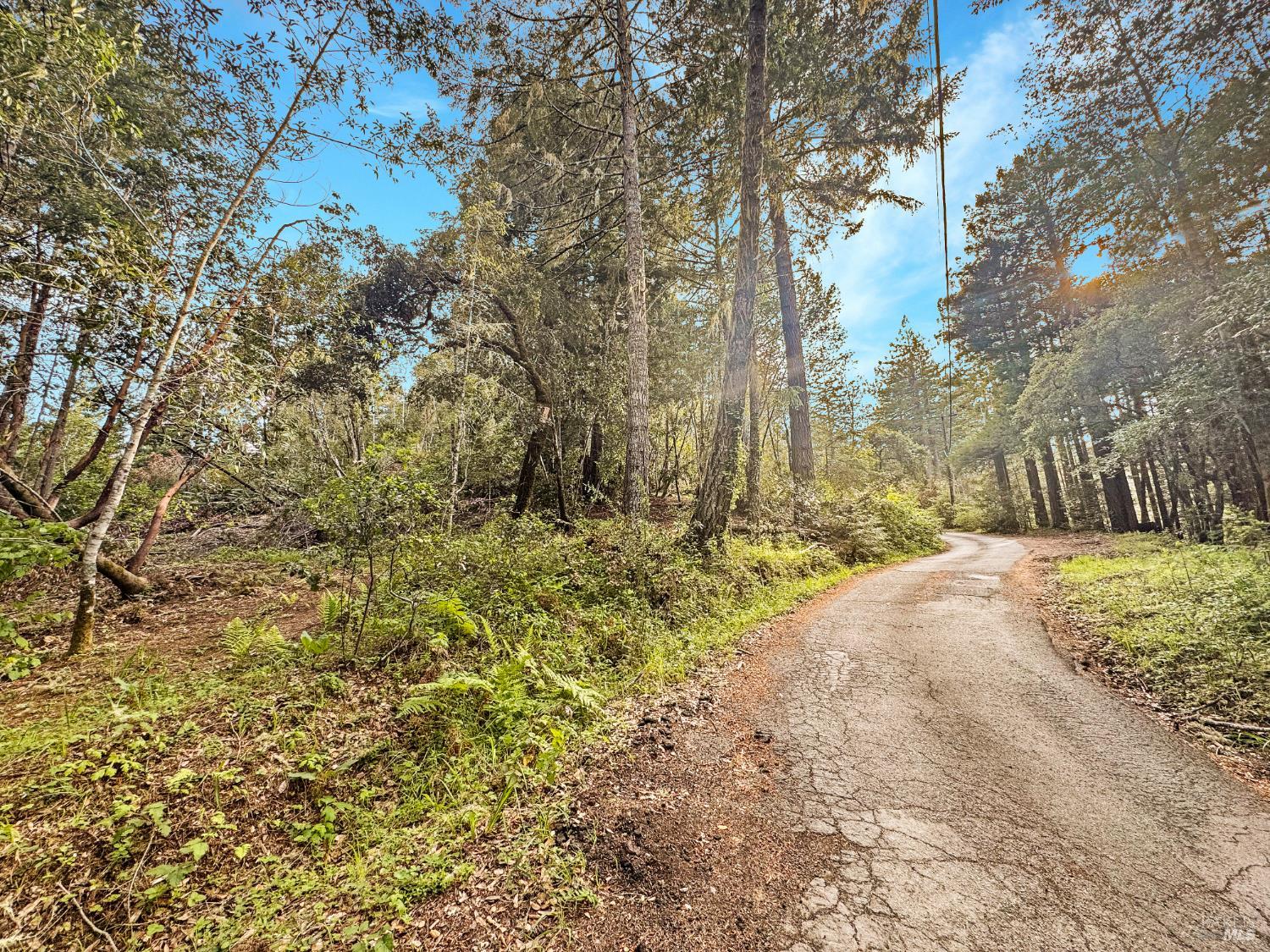 21155 Siri Road Guerneville, CA 95446 - Photo 2 of 30 a view of backyard of house