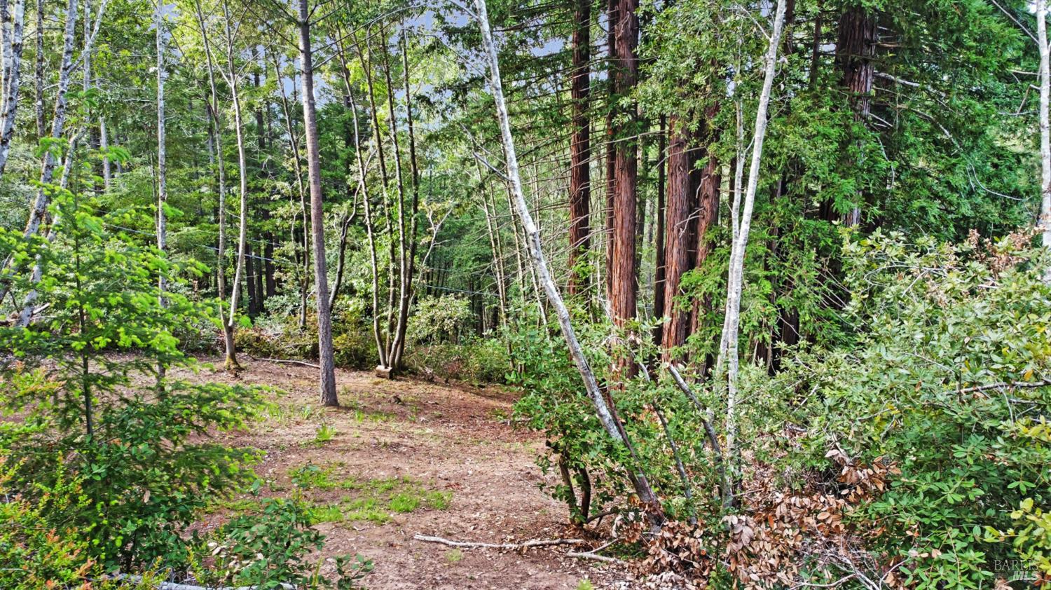 21155 Siri Road Guerneville, CA 95446 - Photo 24 of 30 a view of yard