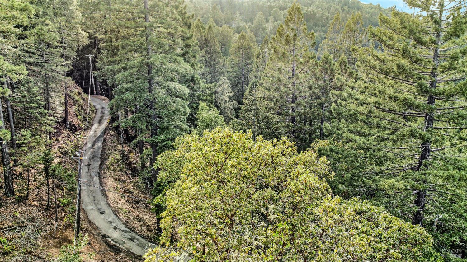 21155 Siri Road Guerneville, CA 95446 - Photo 25 of 30 a view of a forest with a tree