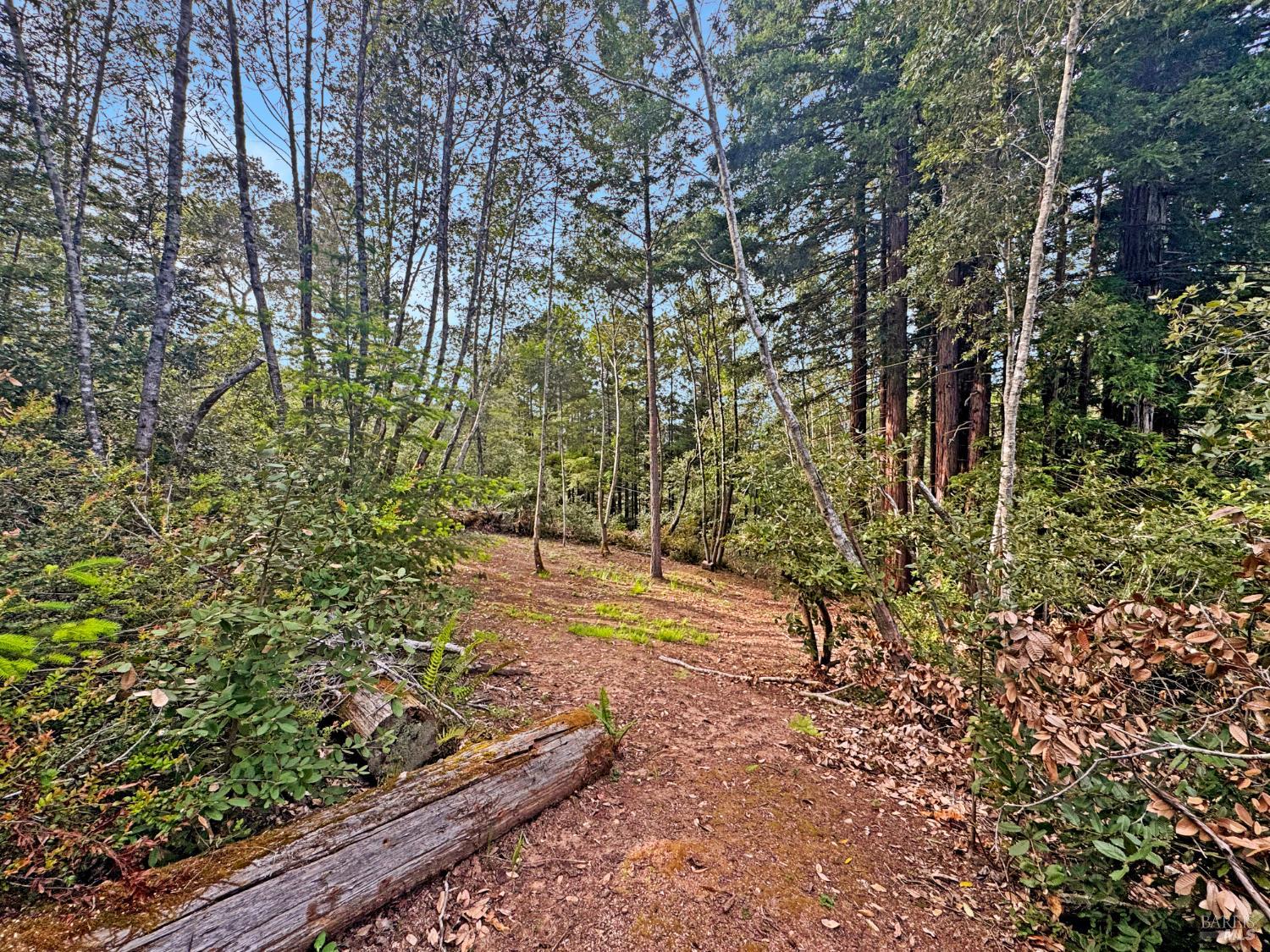 21155 Siri Road Guerneville, CA 95446 - Photo 3 of 30