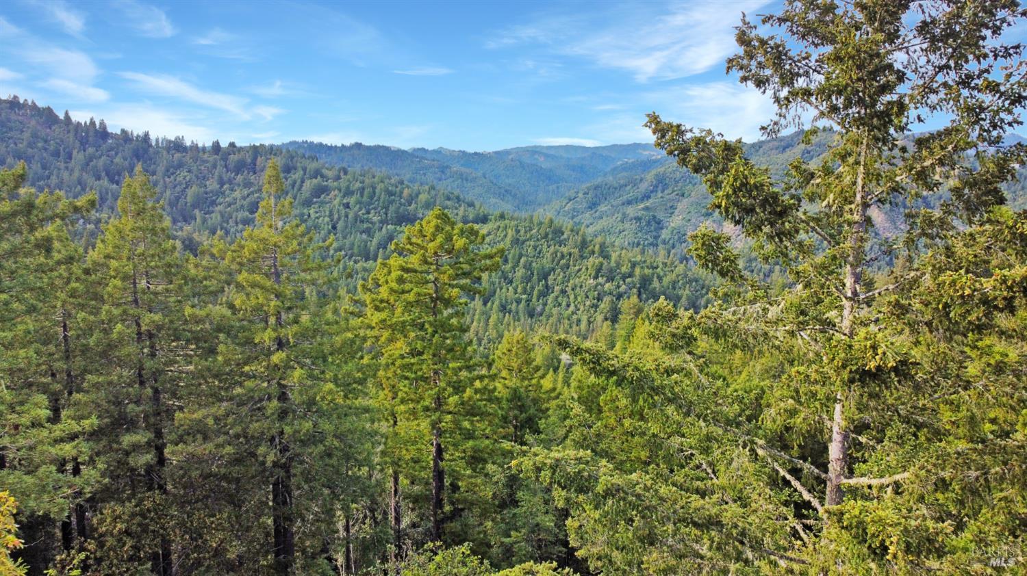21155 Siri Road Guerneville, CA 95446 - Photo 4 of 30 a view of a houses with a lush green hillside