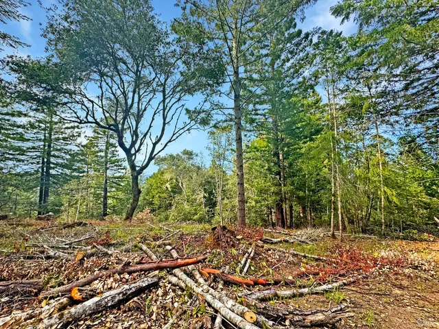 a backyard of a house with lots of green space