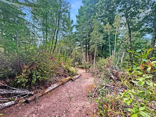 a backyard of a house with lots of trees