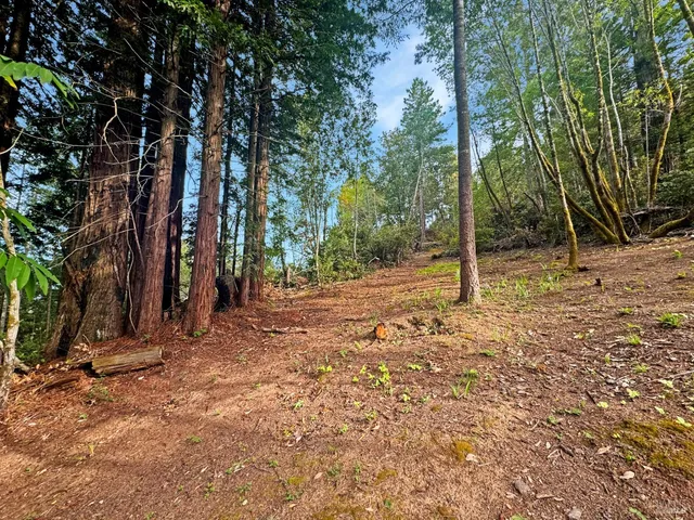 a view of backyard space