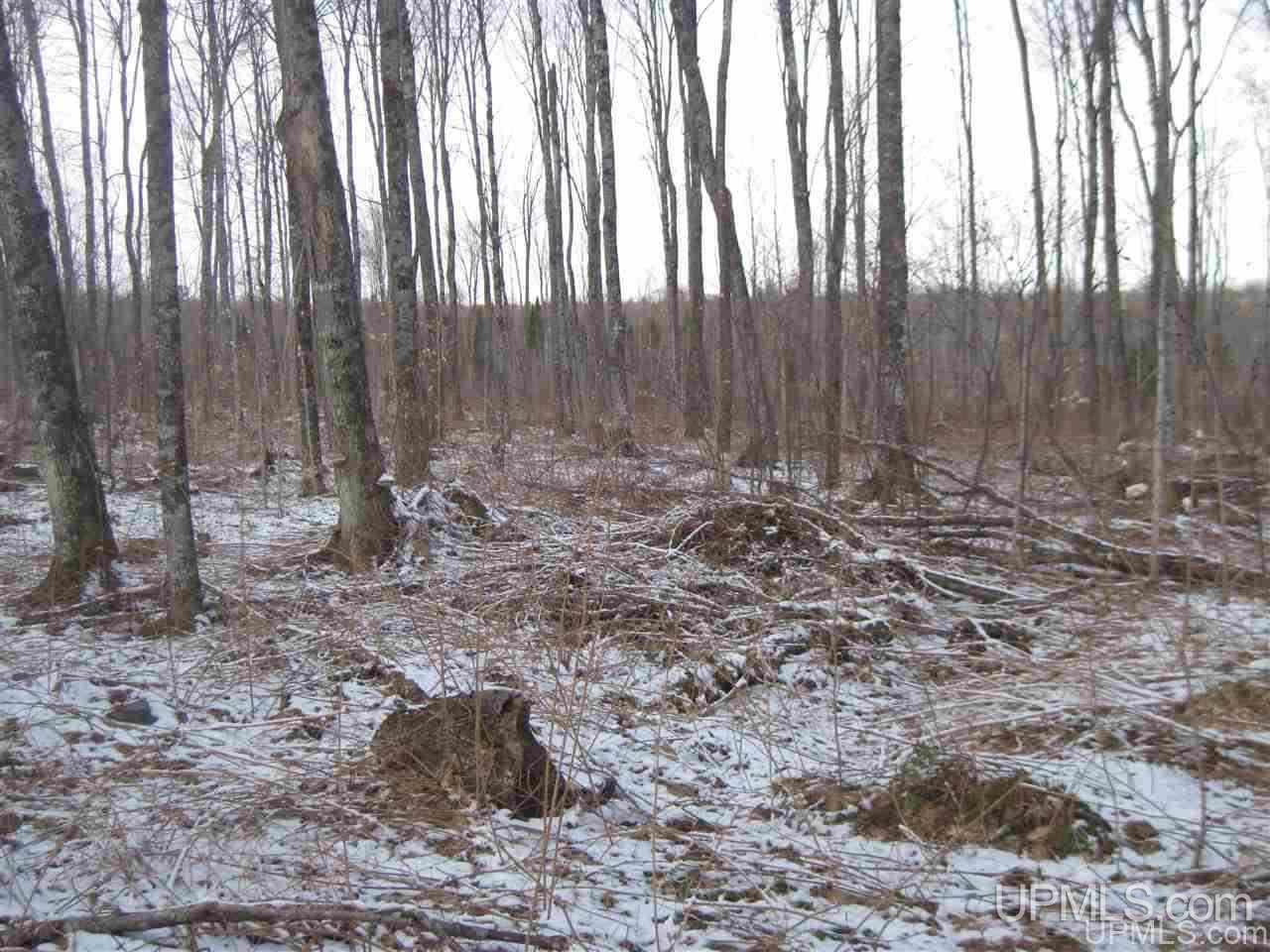 3475 Rd Iron River Iron River, MI 49935 - Photo 11 of 15