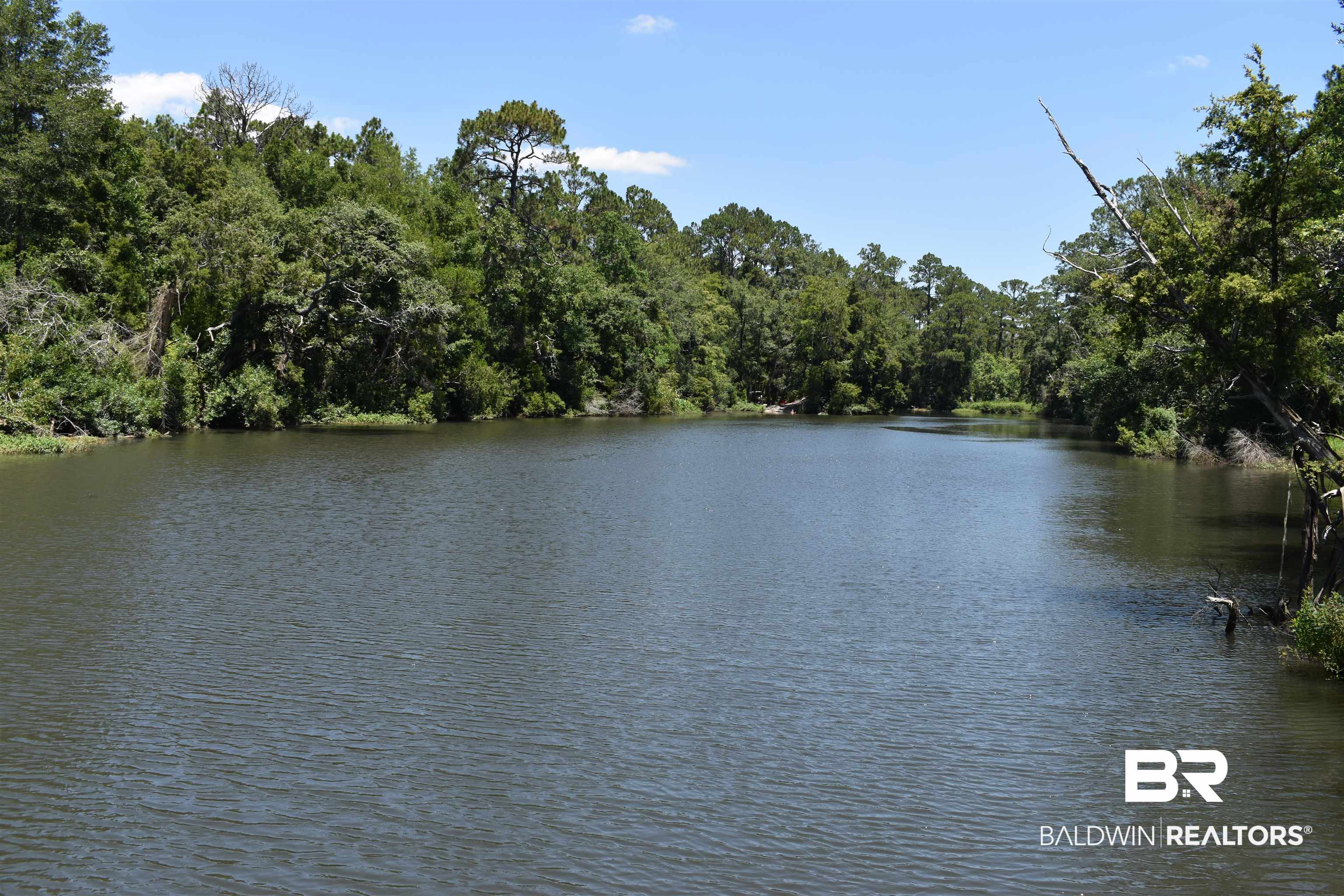 17655 River Road Summerdale, AL 36580 - Photo 2 of 17 South View
