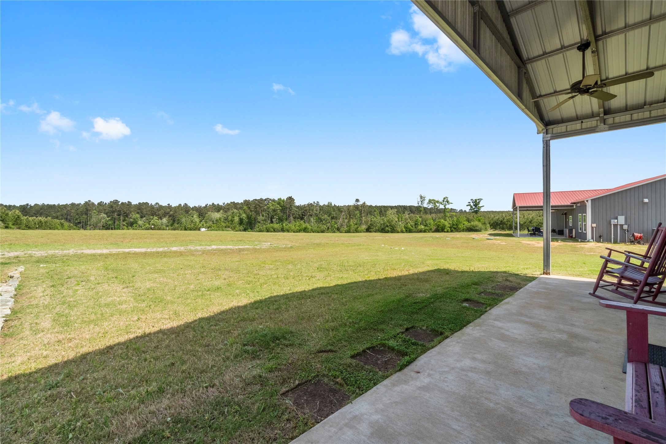 835 Stutts Hill Road Livingston, TX 77351 - Photo 40 of 50 Yard Outlook