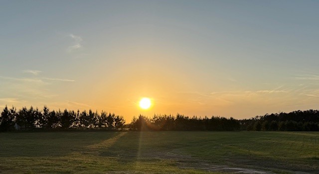 835 Stutts Hill Road Livingston, TX 77351 - Photo 50 of 50 Yard View 2