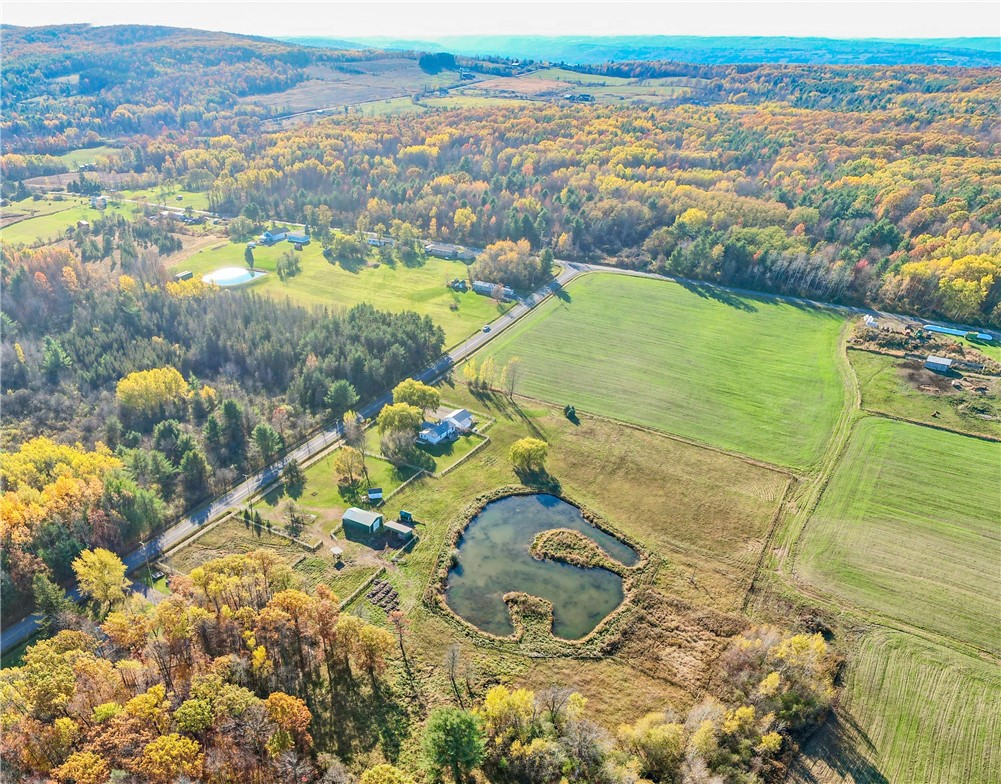 1921 Ray Roberts Road Reading, NY 14891 - Photo 3 of 49