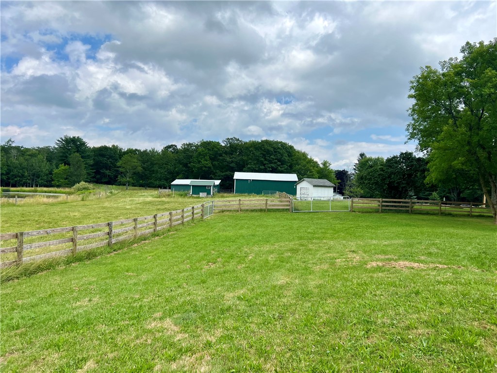 1921 Ray Roberts Road Reading, NY 14891 - Photo 44 of 49