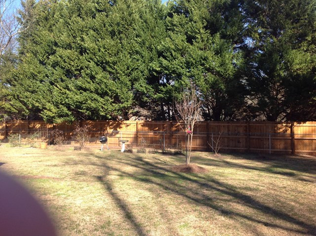 211 Pine Cone Road Waynesboro, GA 30830 - Photo 27 of 28 Gallery Image 27