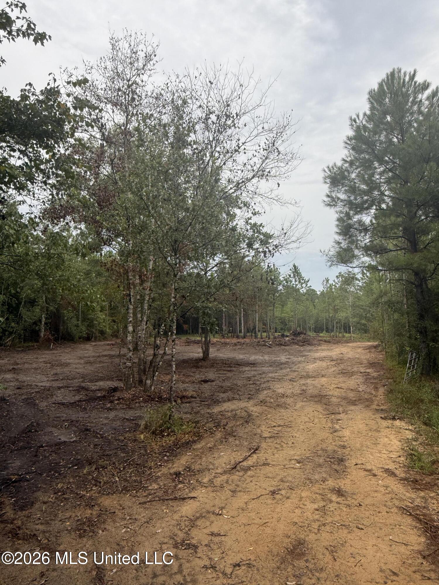 Nhn Dap Road East Moss Point, MS 39562 - Photo 3 of 23 IMG_1775