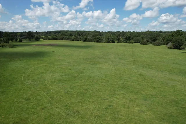 a view of a field with an ocean