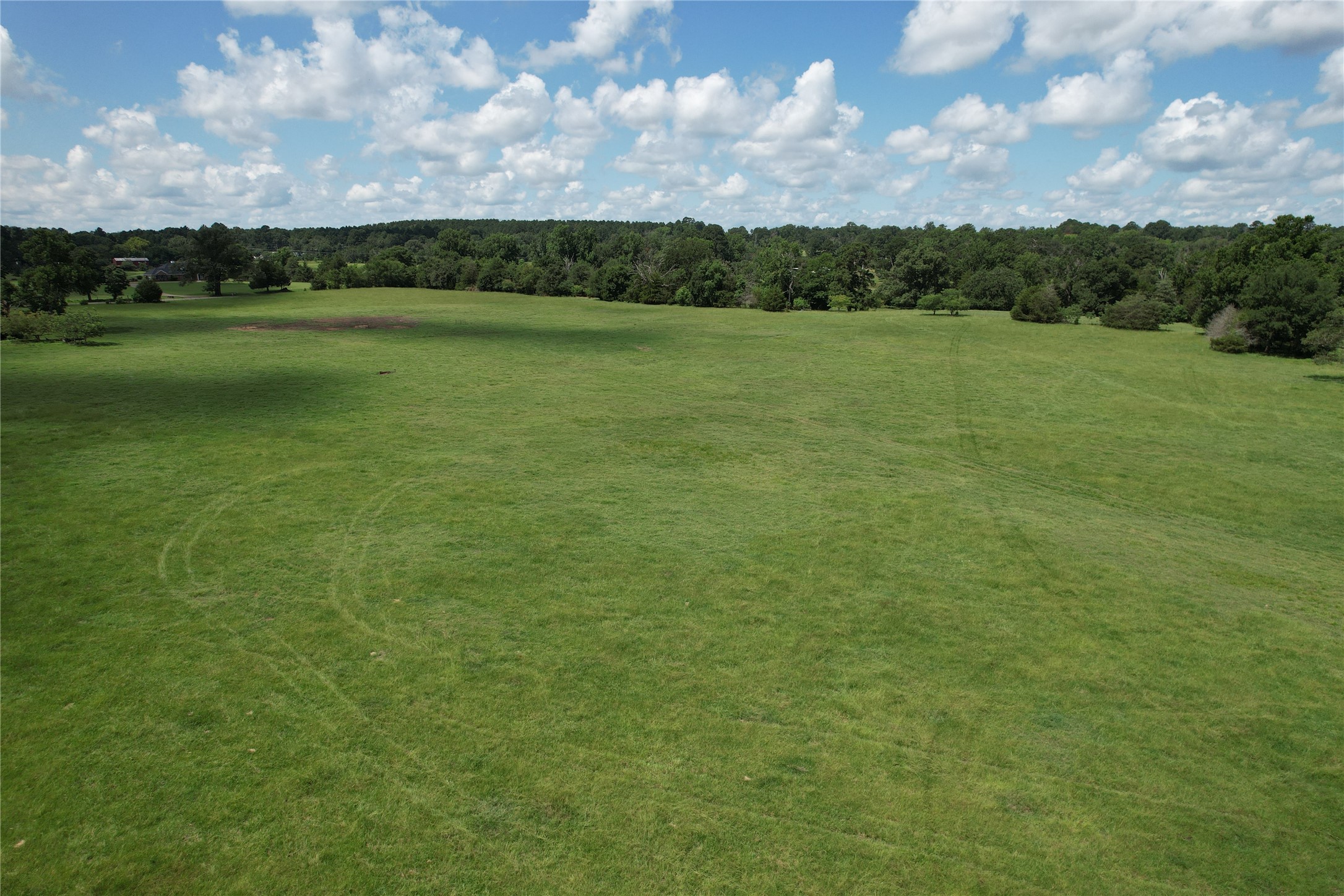 219 An County Road 185 Elkhart, TX 75839 - Photo 12 of 36 a view of a field with an ocean