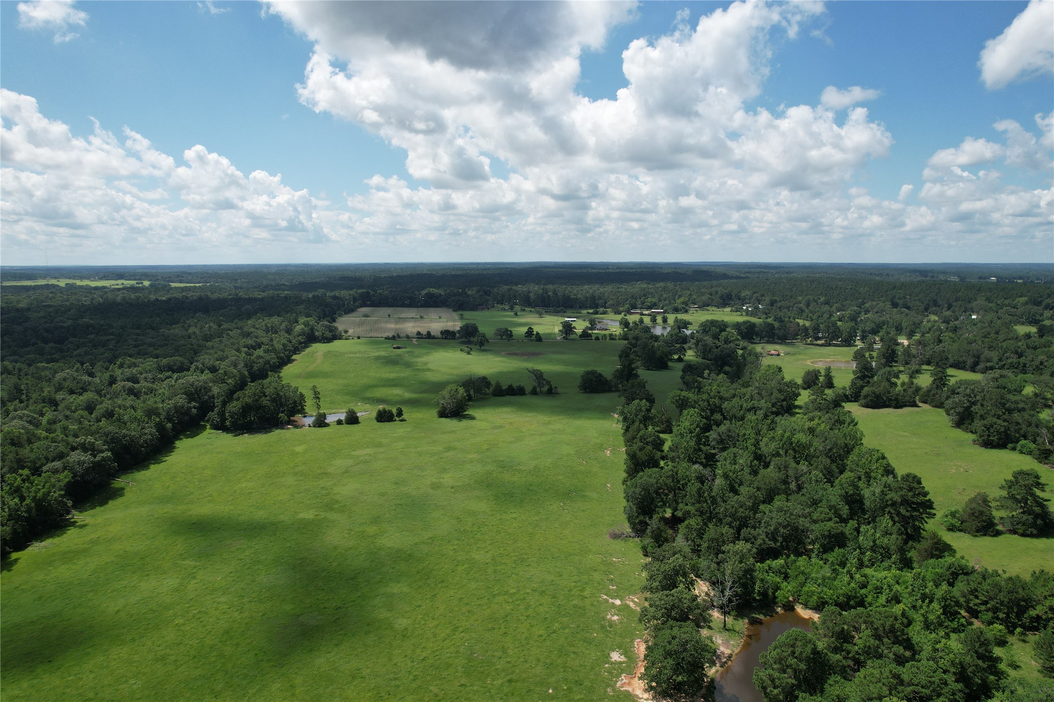 219 An County Road 185 Elkhart, TX 75839 - Photo 14 of 36 a yard with lots of green space houses and lake in back