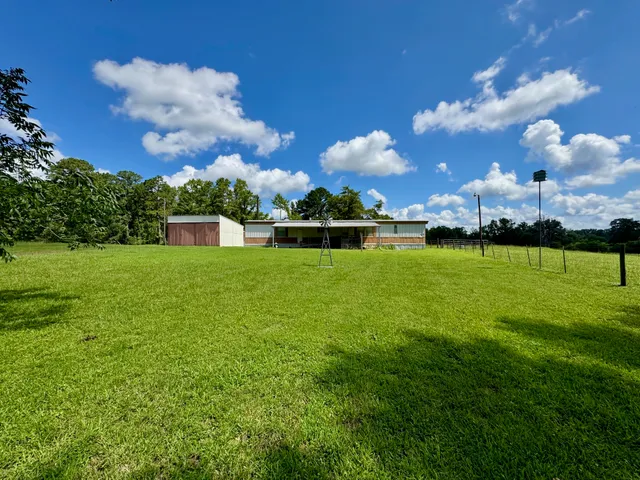 a view of backyard with a garden and trees