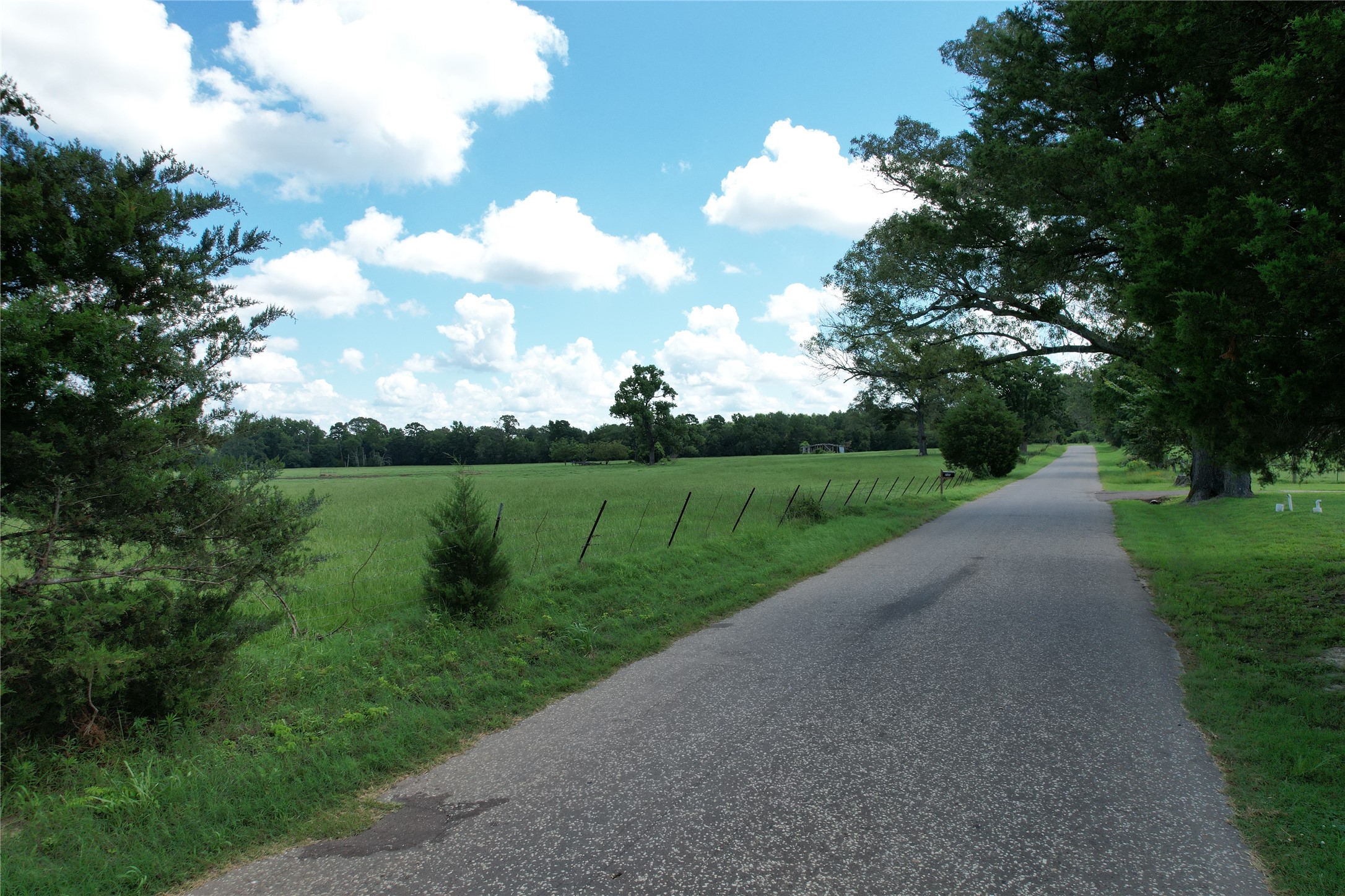 219 An County Road 185 Elkhart, TX 75839 - Photo 34 of 36 a view of a river and garden with seating space