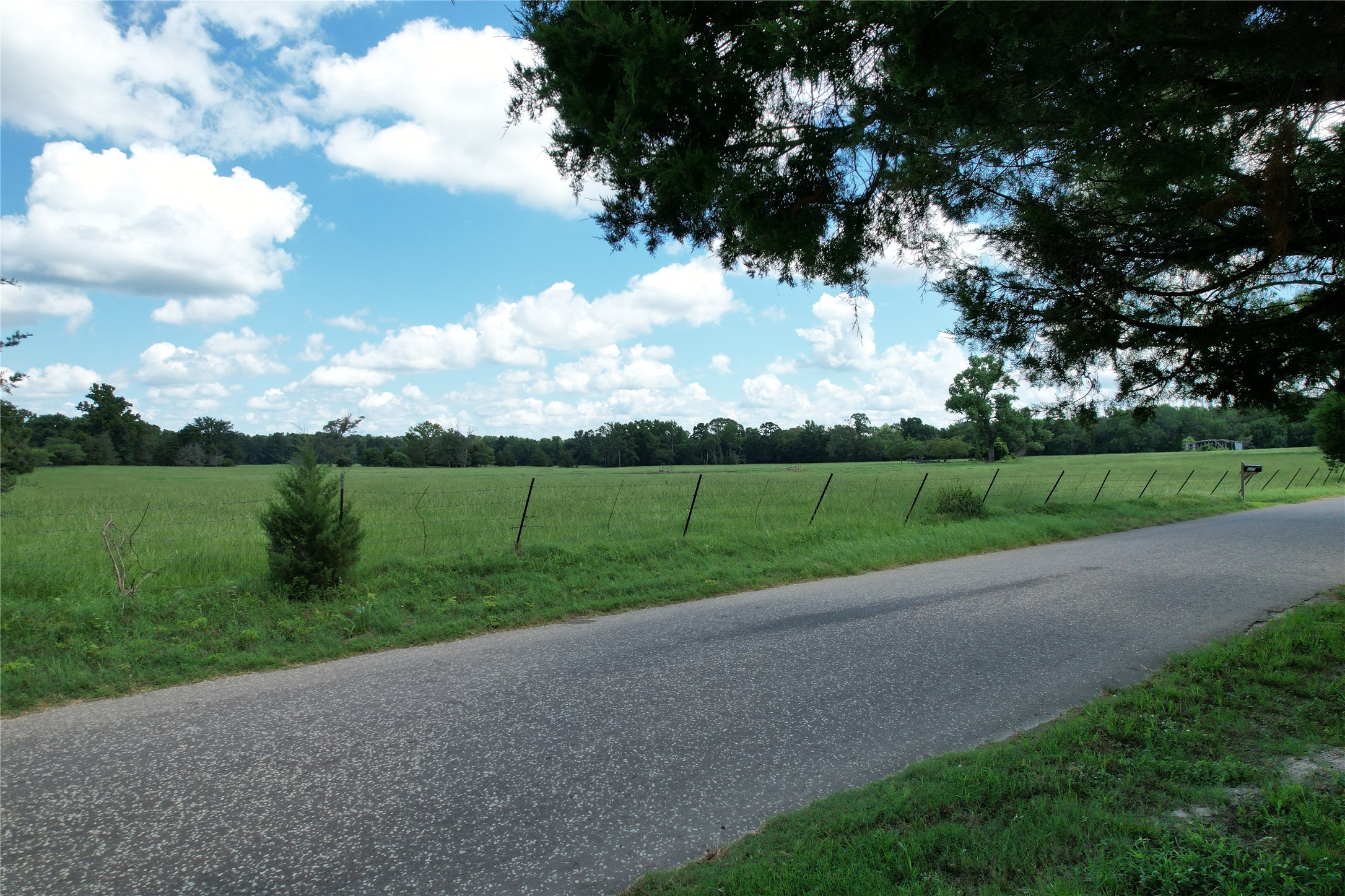 219 An County Road 185 Elkhart, TX 75839 - Photo 35 of 36 a view of a golf course with a lake