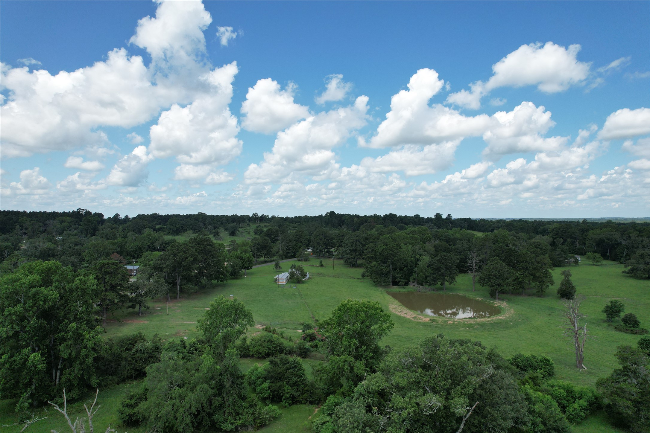 219 An County Road 185 Elkhart, TX 75839 - Photo 4 of 36 a view of a city and lush green forest