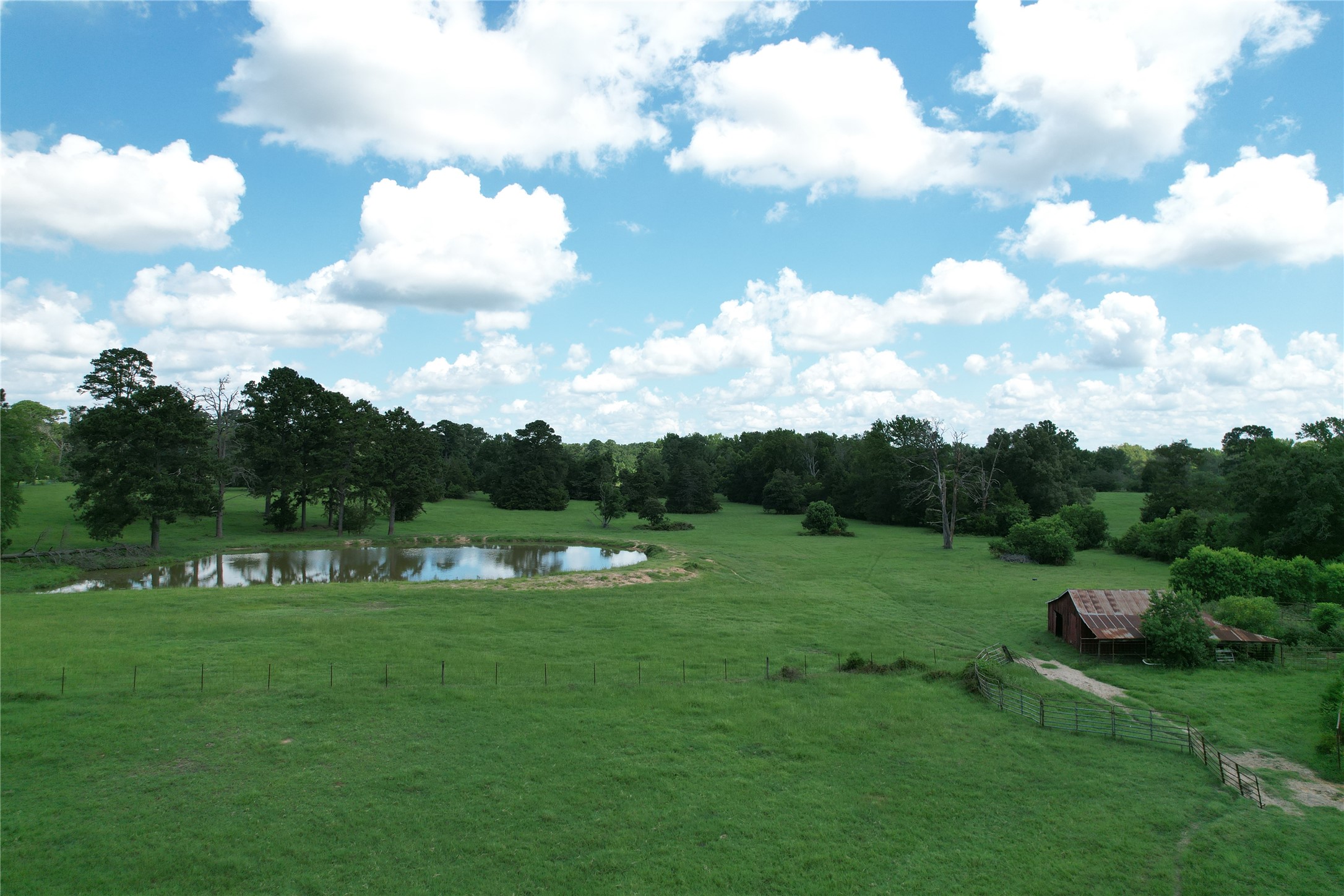 219 An County Road 185 Elkhart, TX 75839 - Photo 8 of 36 a view of field with mountain view