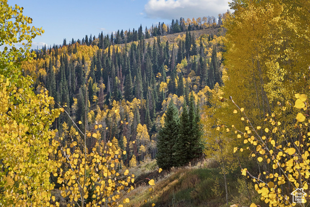 95 Black Diamond Road Helper, UT 84526 - Photo 53 of 78