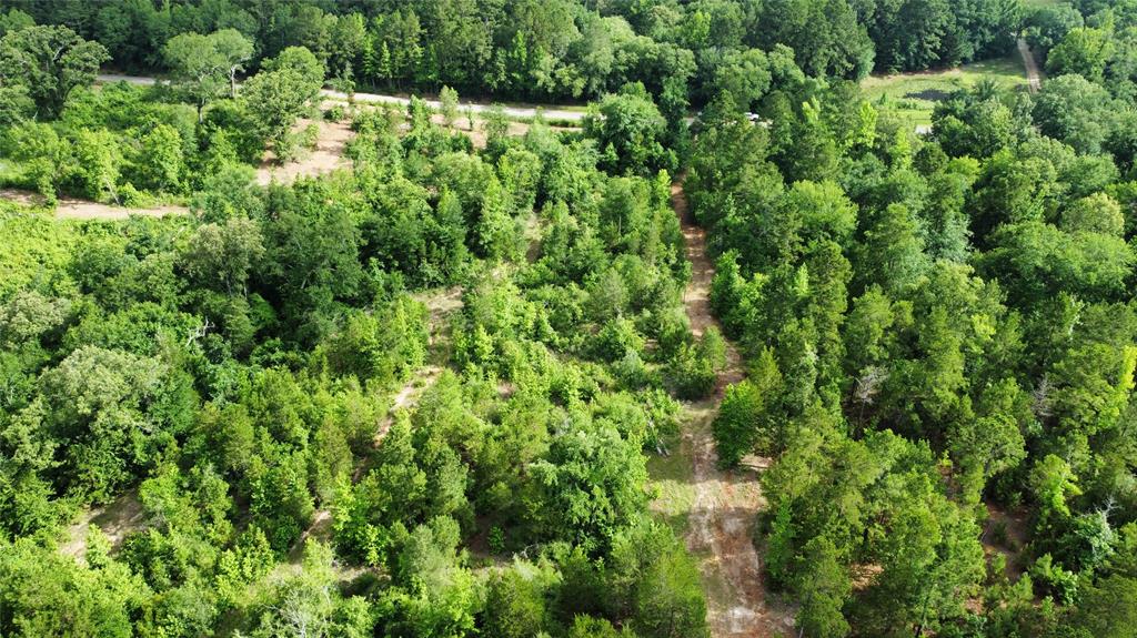 385 County Road 385 Tyler, TX 75708 - Photo 27 of 28