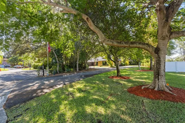 a view of a yard with tree s