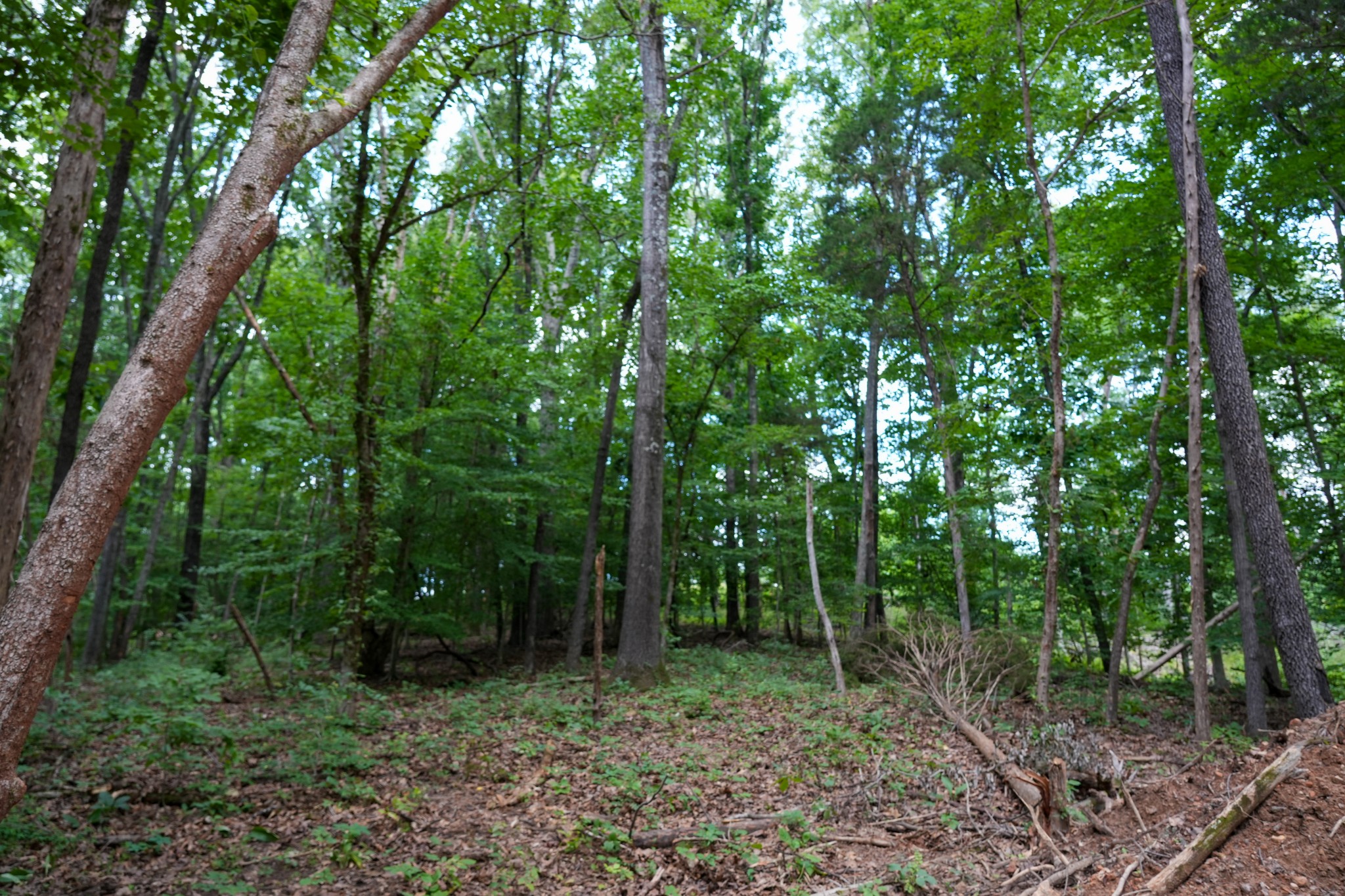 1 Budds Creek Road Palmyra, TN 37142 - Photo 70 of 76