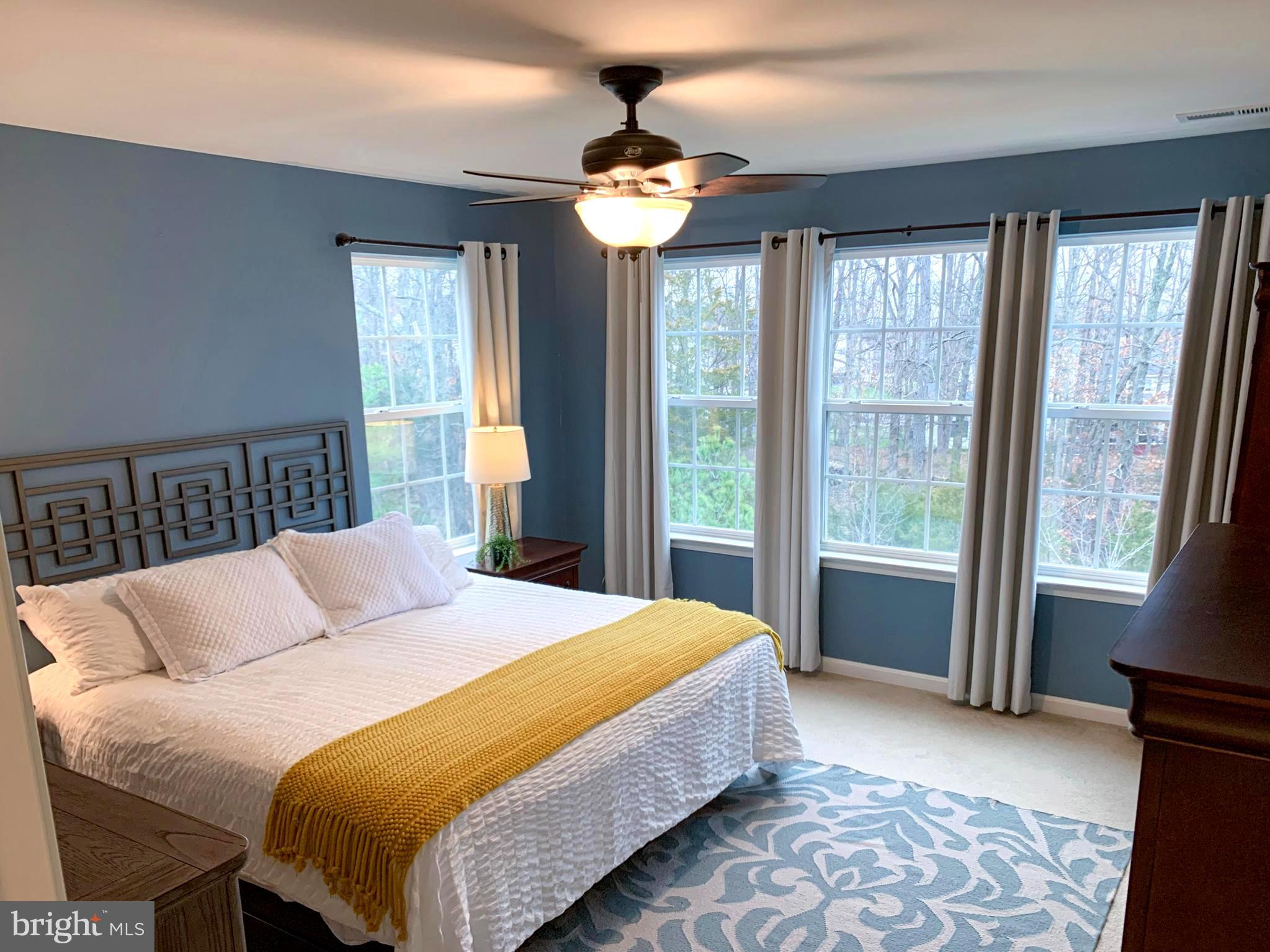 22654 Flowing Spring Square Brambleton, VA 20148 - Photo 14 of 38 Primary bedroom and 4 windows
