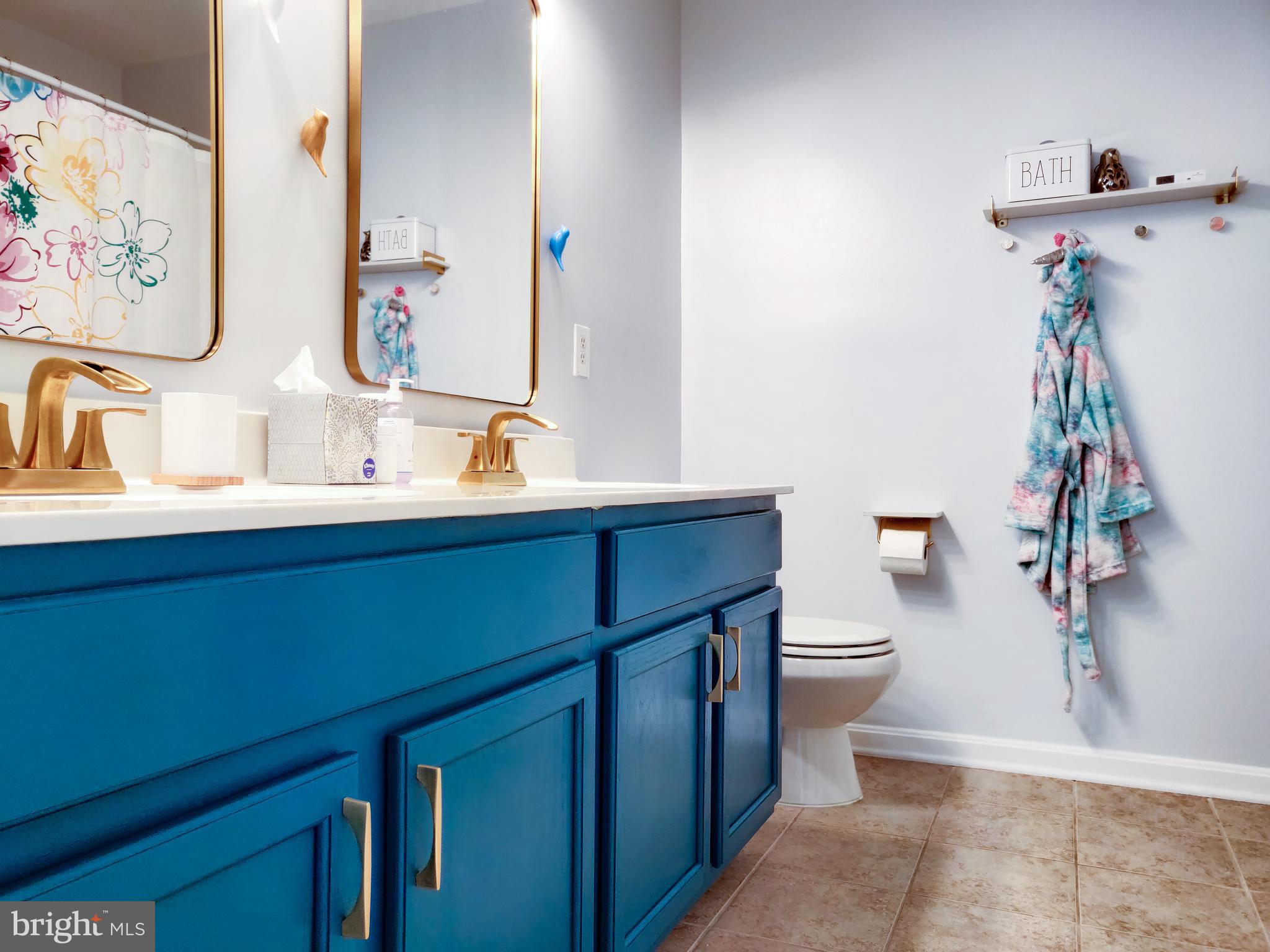 22654 Flowing Spring Square Brambleton, VA 20148 - Photo 18 of 38 Hall bath