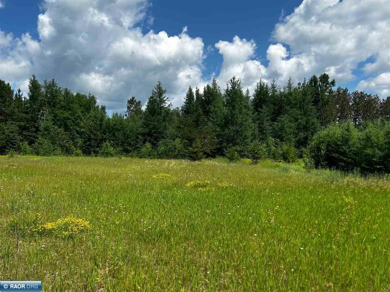 7862 Teinila Road Embarrass, MN 55732 - Photo 11 of 31