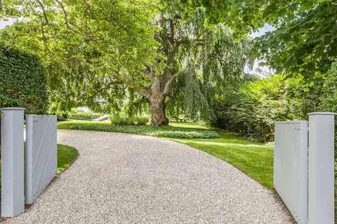 a view of a park with large trees