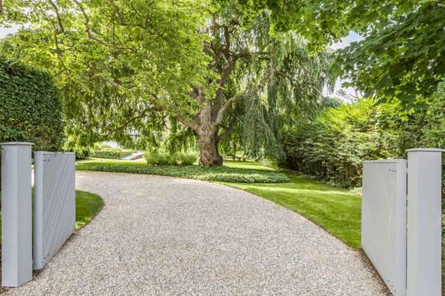 a view of a park with large trees