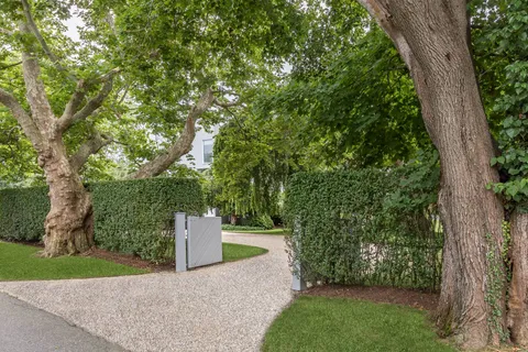 a view of a park with large trees