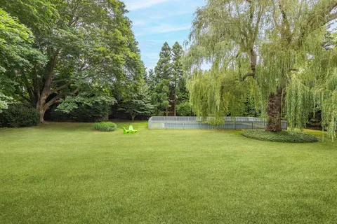 a view of a trees in a yard