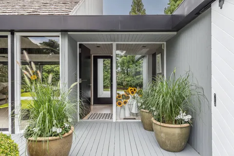 a view of a potted plants in front of a glass door