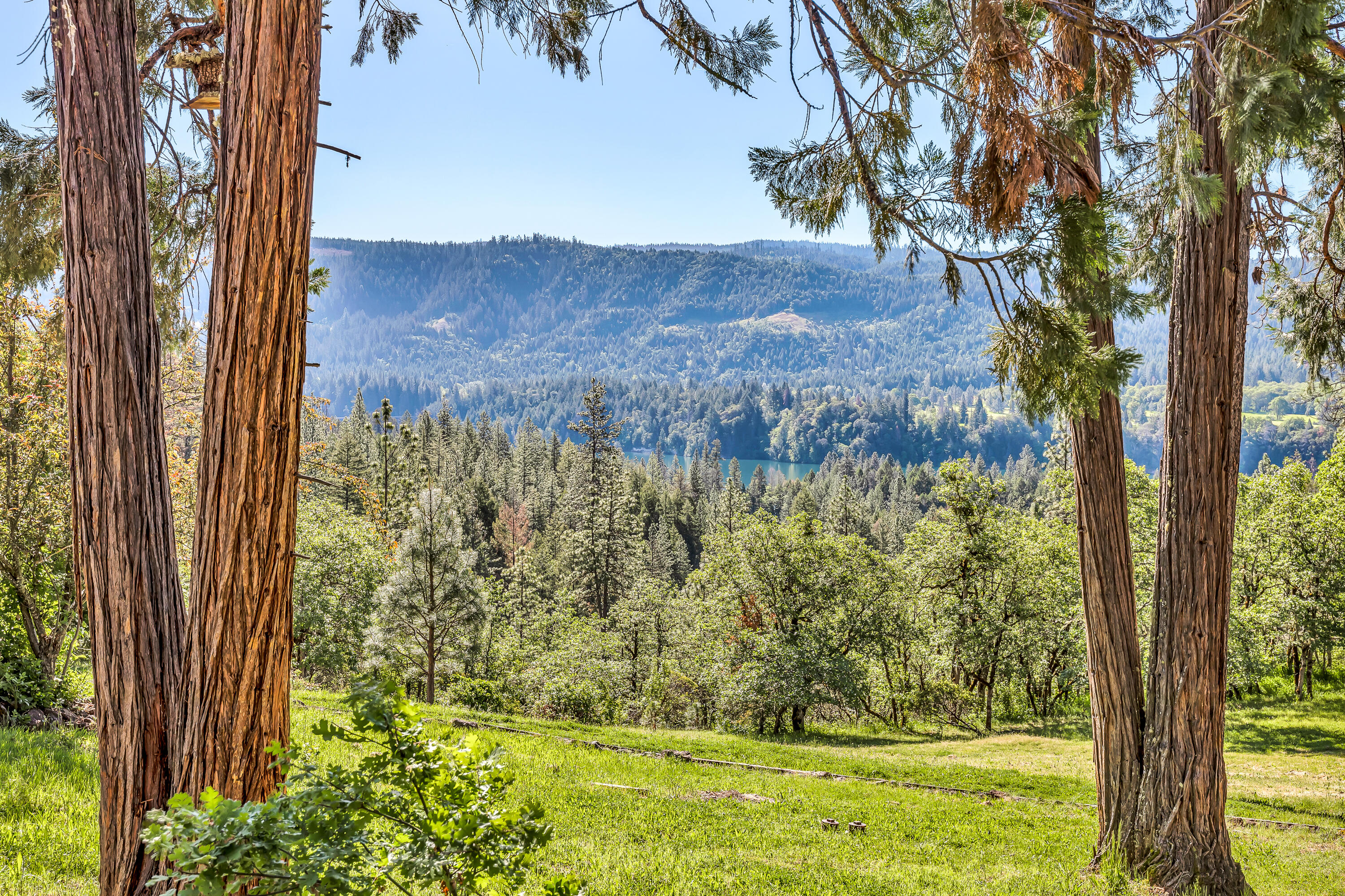 1306 Lewis Road Prospect, OR 97536 - Photo 37 of 66 9R9A9662