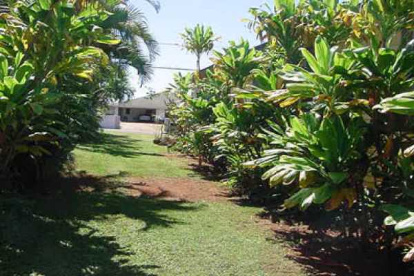 4873 Alii Road Hanapepe, HI 96716 - Photo 8 of 13 a backyard of a house with a garden