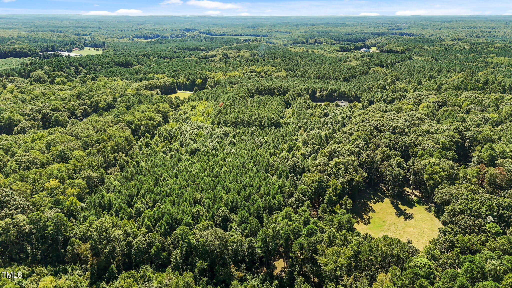 476 Pete Thomas Road Pittsboro, NC 27312 - Photo 14 of 16 a view of a lush green field