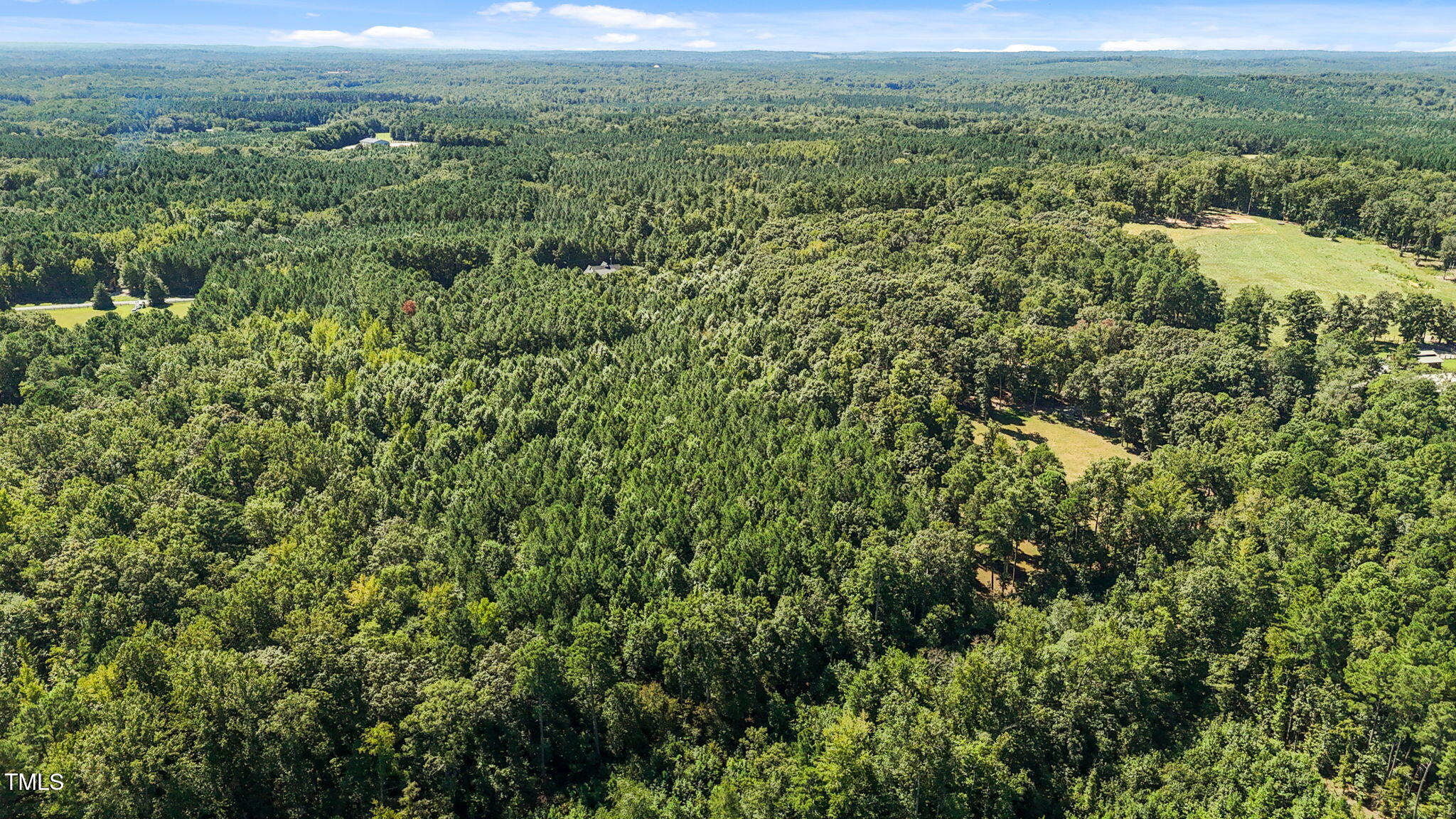 476 Pete Thomas Road Pittsboro, NC 27312 - Photo 15 of 16 a view of a lush green forest with trees and houses