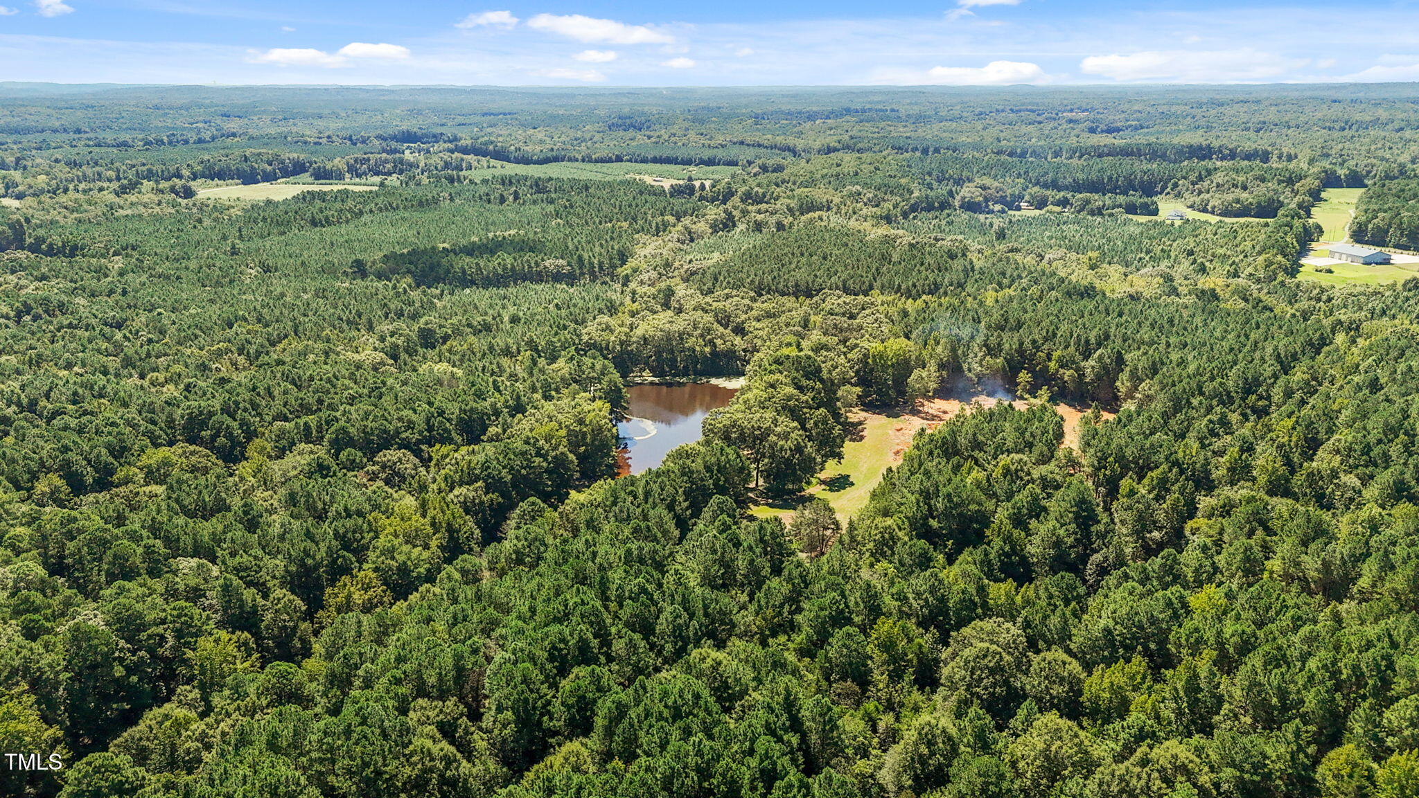 476 Pete Thomas Road Pittsboro, NC 27312 - Photo 16 of 16 a view of a city with lush green forest