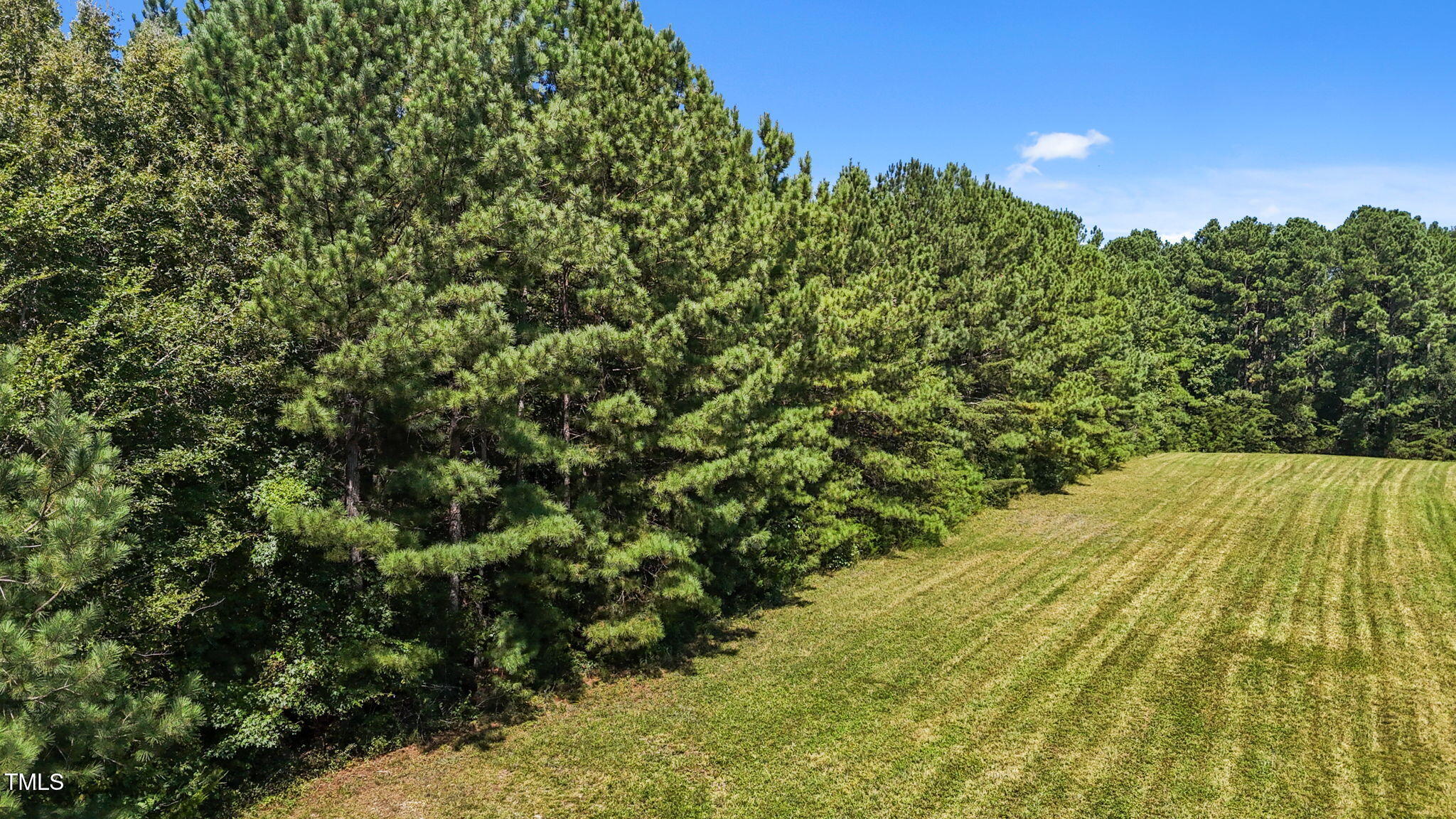 476 Pete Thomas Road Pittsboro, NC 27312 - Photo 5 of 16 a view of a yard