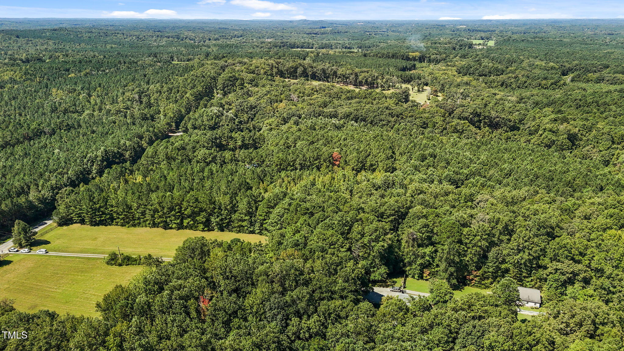 476 Pete Thomas Road Pittsboro, NC 27312 - Photo 8 of 16 a view of a city with lush green forest