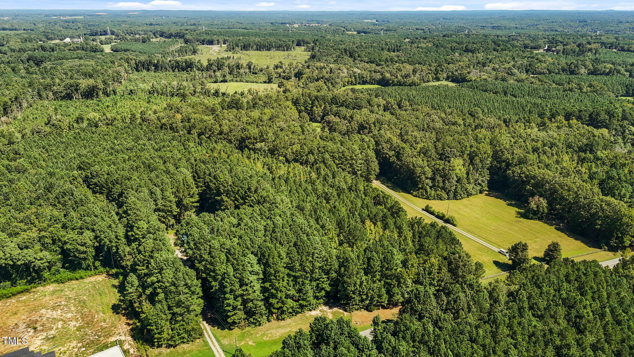 476 Pete Thomas Road Pittsboro, NC 27312 - Photo 10 of 16 a view of a city with lush green forest