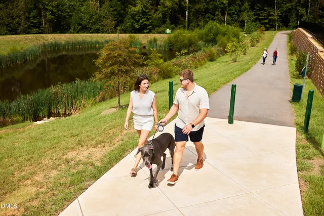 a view of a bench in the garden